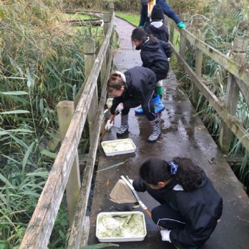 Y6 Nature reserve trip 2